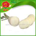 WHITE RADISH